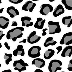 Meet your Posher, Ileana